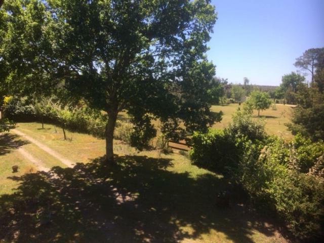 Stemicar Dans Les Landes Lesperon (Landes) Exterior foto